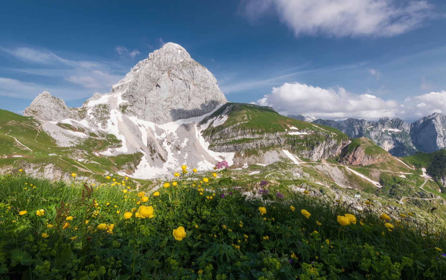 Yellow alpine wildflowers below a snow-streaked Himalayan-style peak