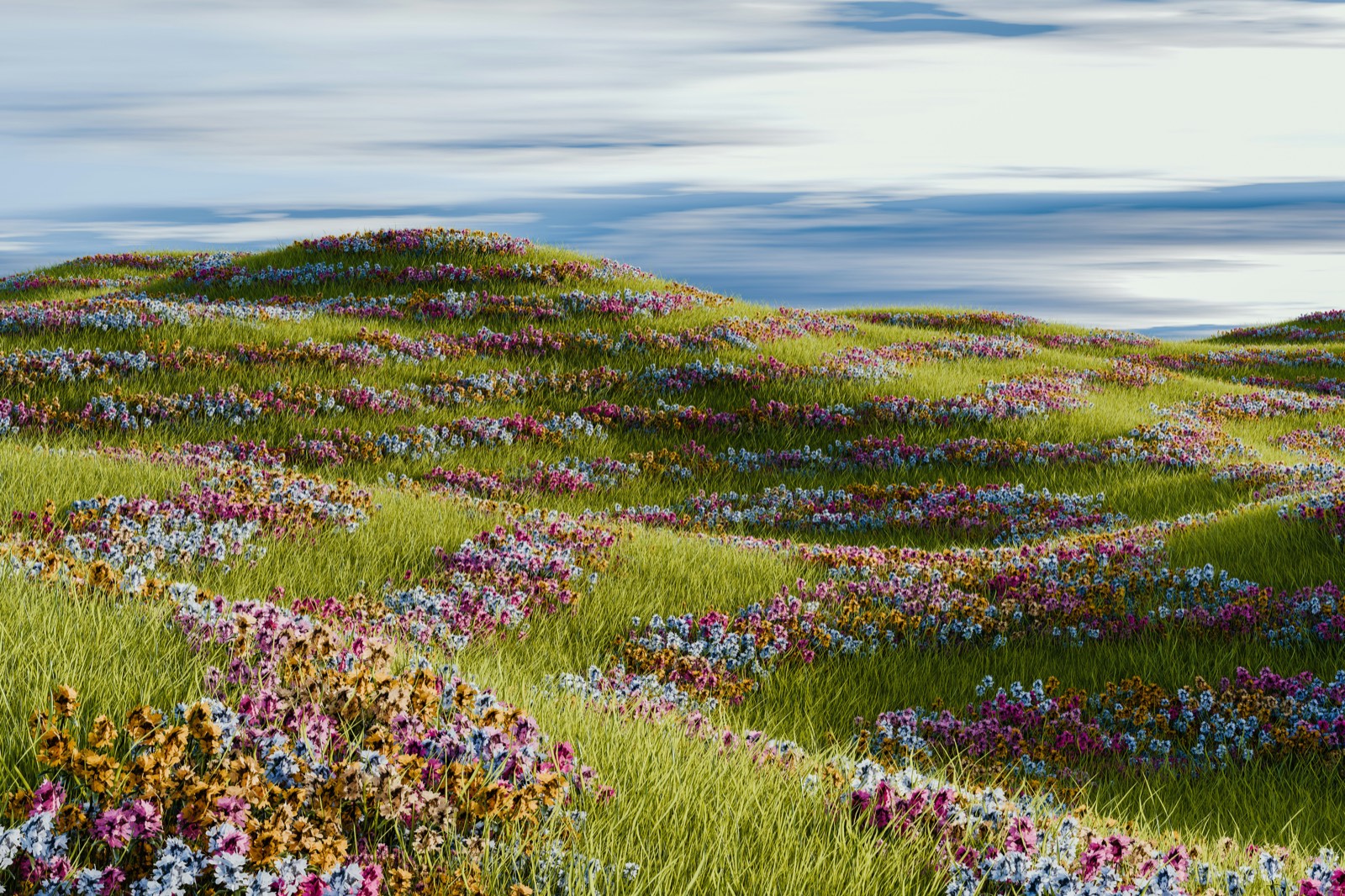 California poppy — Antelope Valley & Southern California